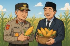 manusiasenayan.id - Kapolri Panen Jagung